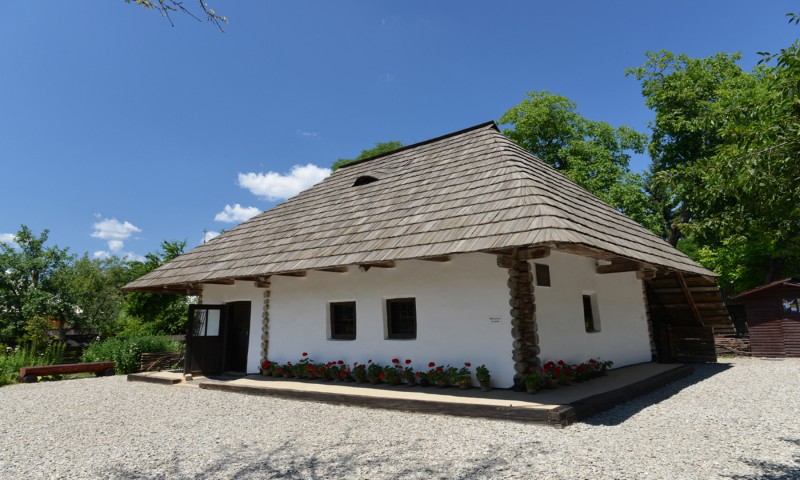 Tabără Vatra Dornei Tabără Vatra Dornei